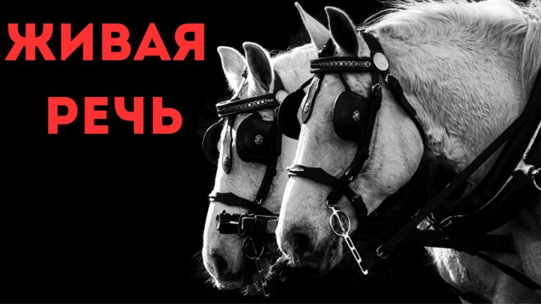 Живая Речь: «Зашоренный»